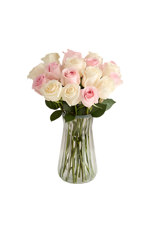 Soft Whisper Roses