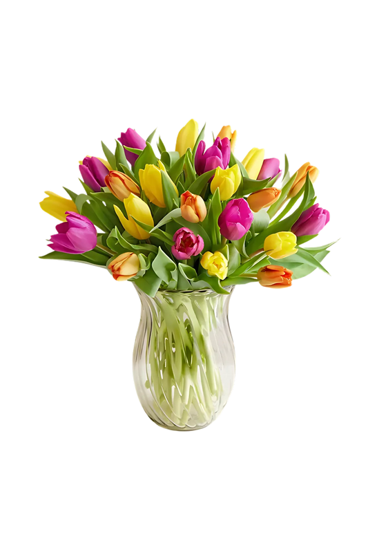 Spring Rainbow Tulips